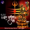 About 108 Mahamrityunjaya Mantra Song